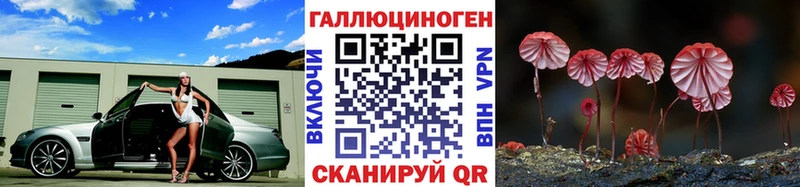 Галлюциногенные грибы Psilocybe  купить наркотик  Губкинский 