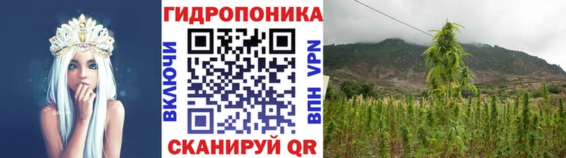 Шишки марихуана план  гидра как зайти  Губкинский 